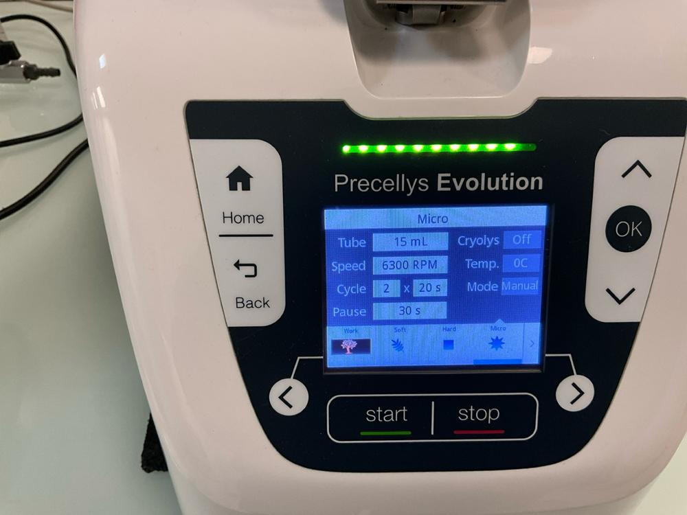 Diapositiva 9